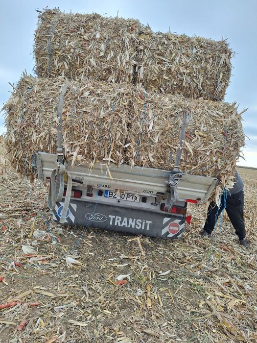 Baloți coceni după teren irigat