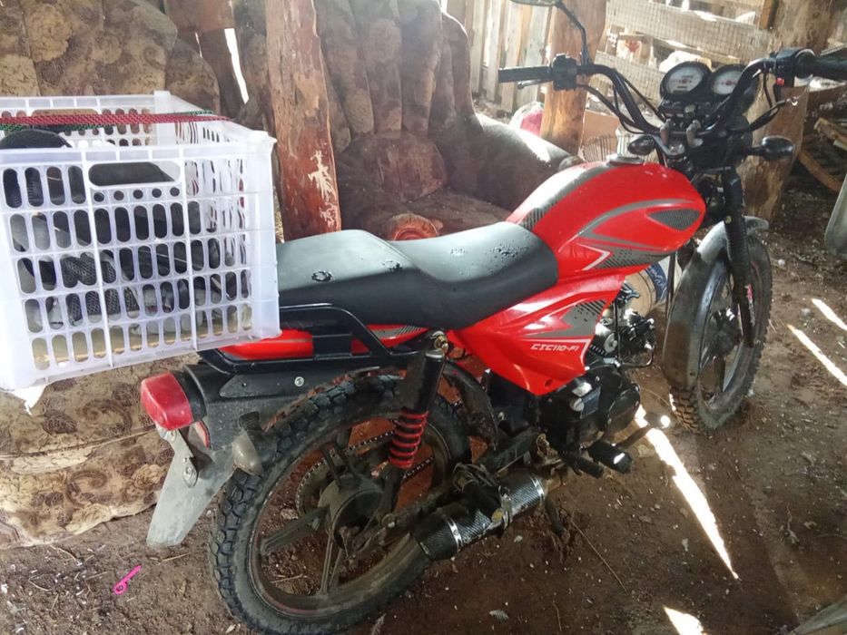 Матацикал 110  сс