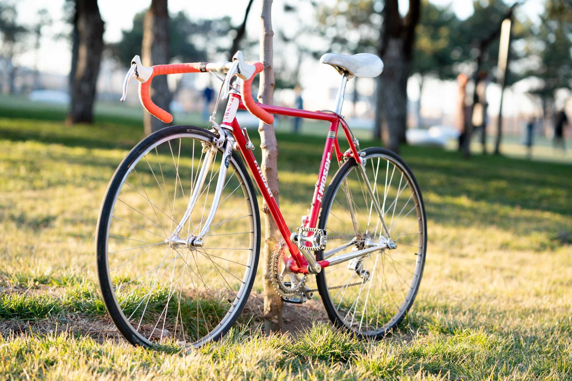 Vand cursiera Francesco Moser/Campagnolo