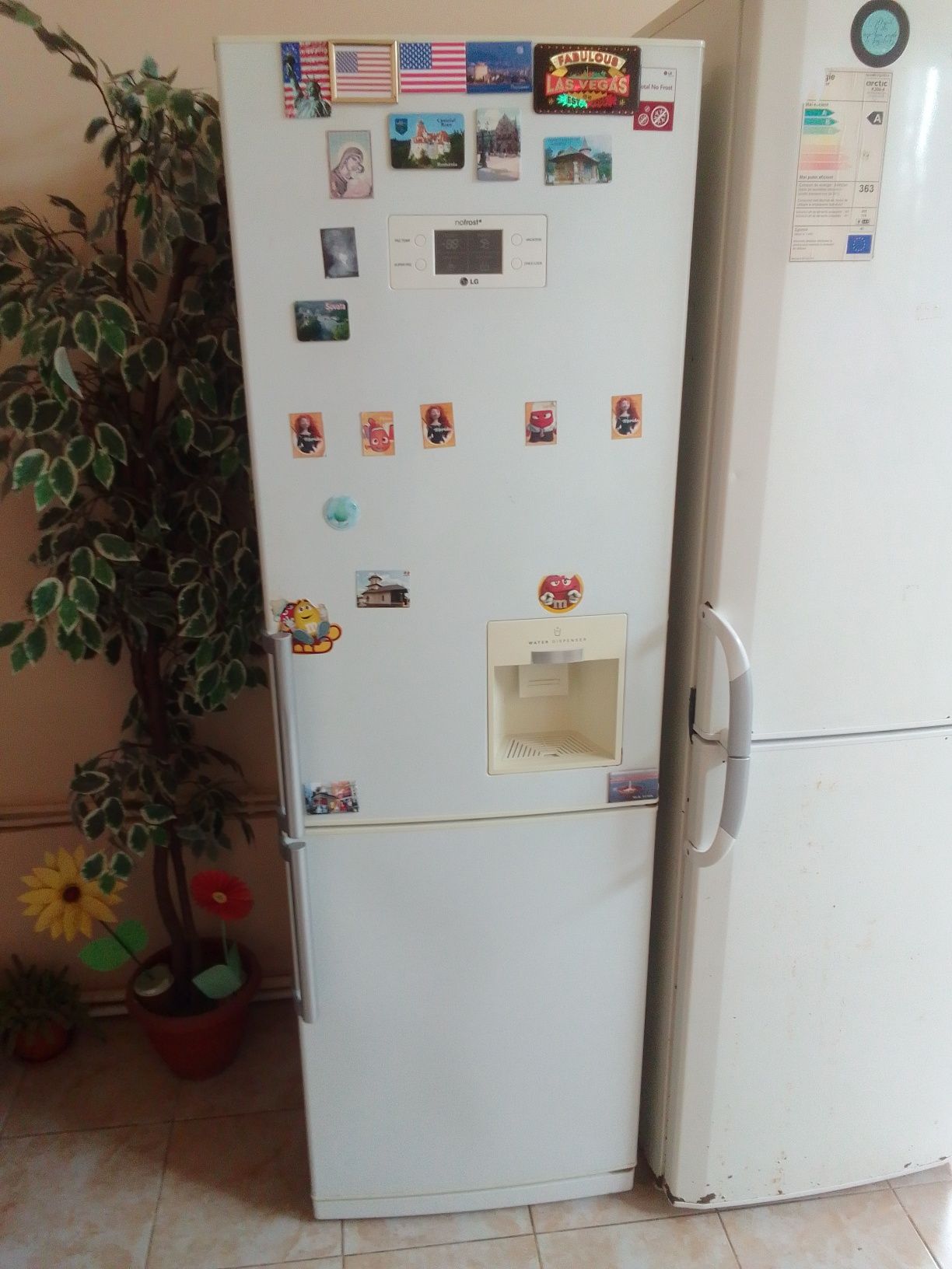 Combina frigorifica LG no fost și combina frigorifica Arctic