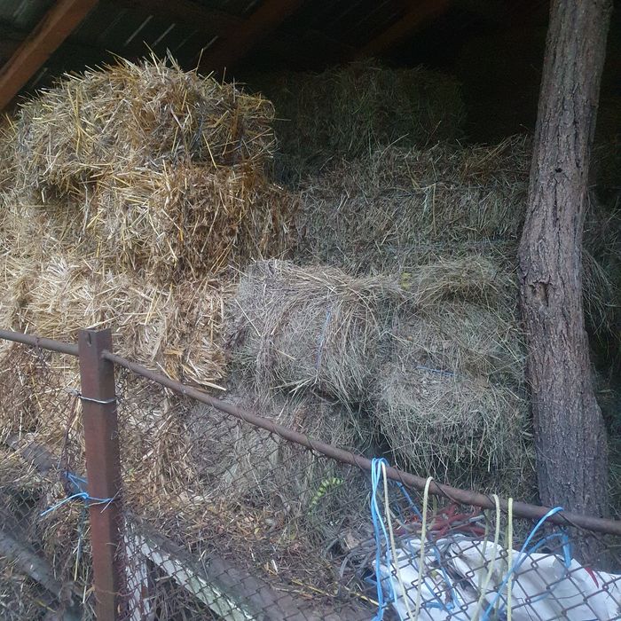 Baloți de fîn și paie