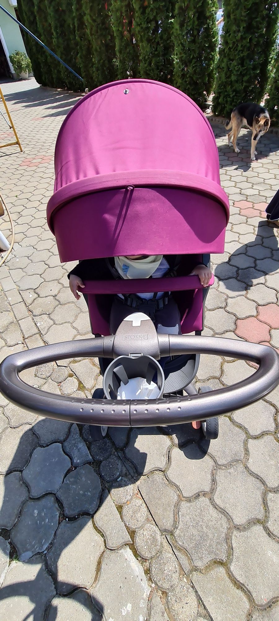 Urgent!!!Carucior stokke v4 mov