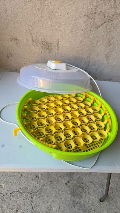 incubator pentru ouă