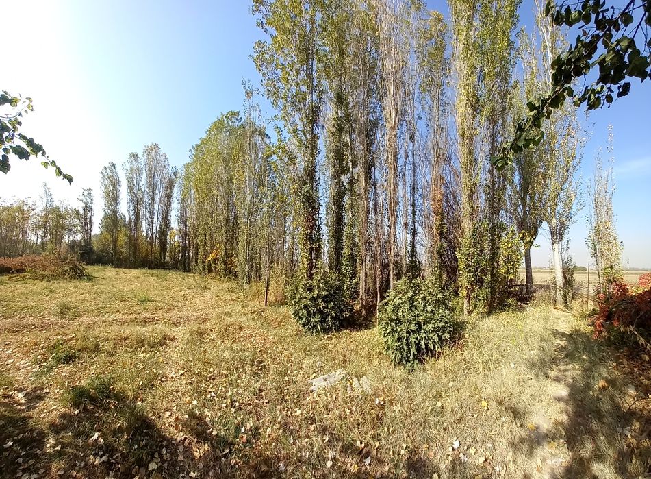 Прадаётса деревя,тераклар сотилади