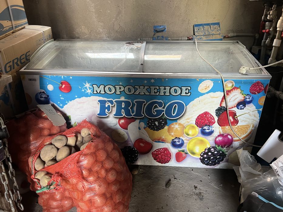 Морозильник Frigo