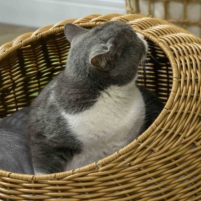 Котешка легло PawHut с миеща се възглавница, за животни до 4 кг