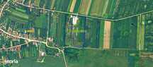 Teren zona industriala, exclusivitate, 40 km de Oradea, Bihor V3747A