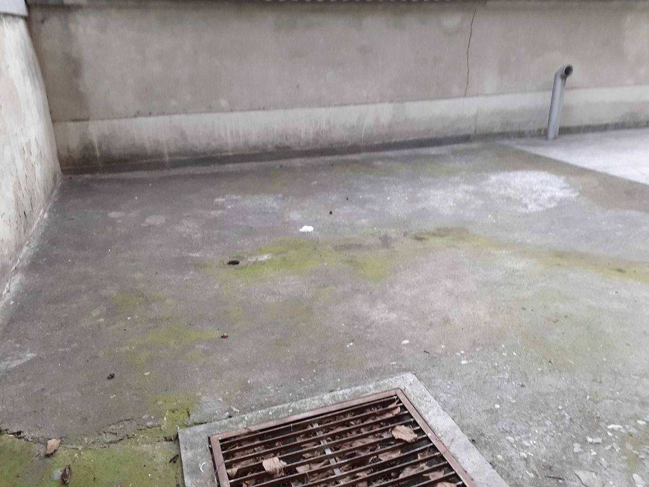 Дава се под наем Магазин в Варна, Окръжна болница - 45 кв.м за 561 € - Снимка #21
