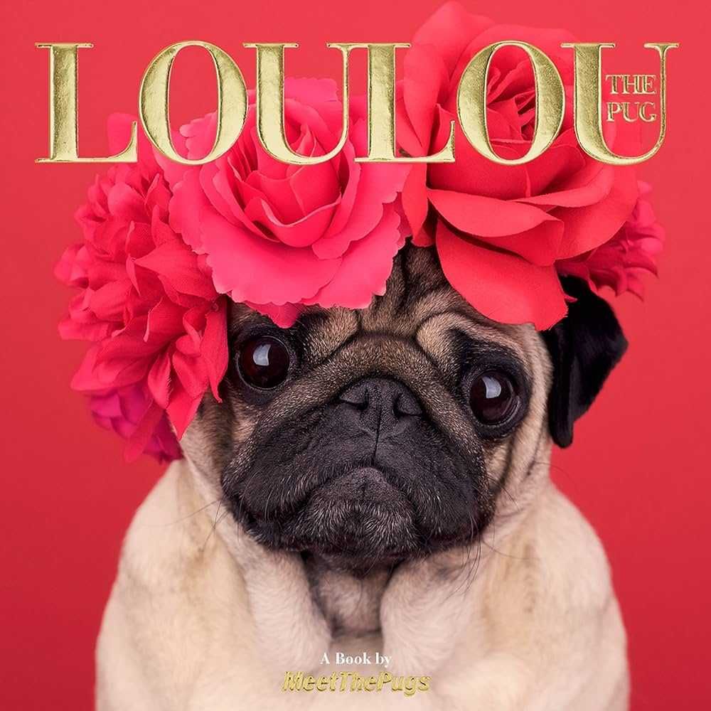 LOULOU album foto - carte CAINE buldog iubitori animale