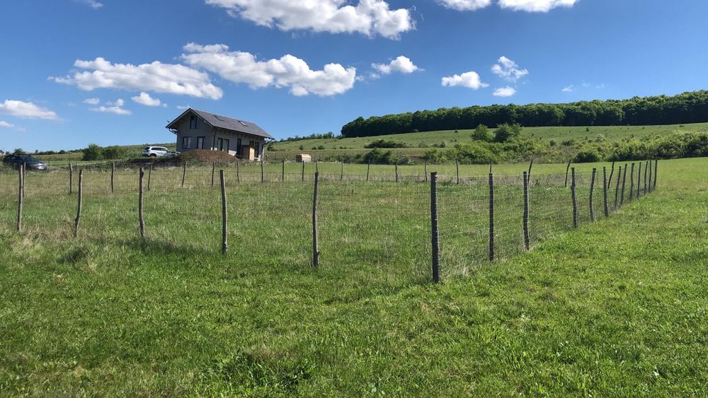 Teren intravilan