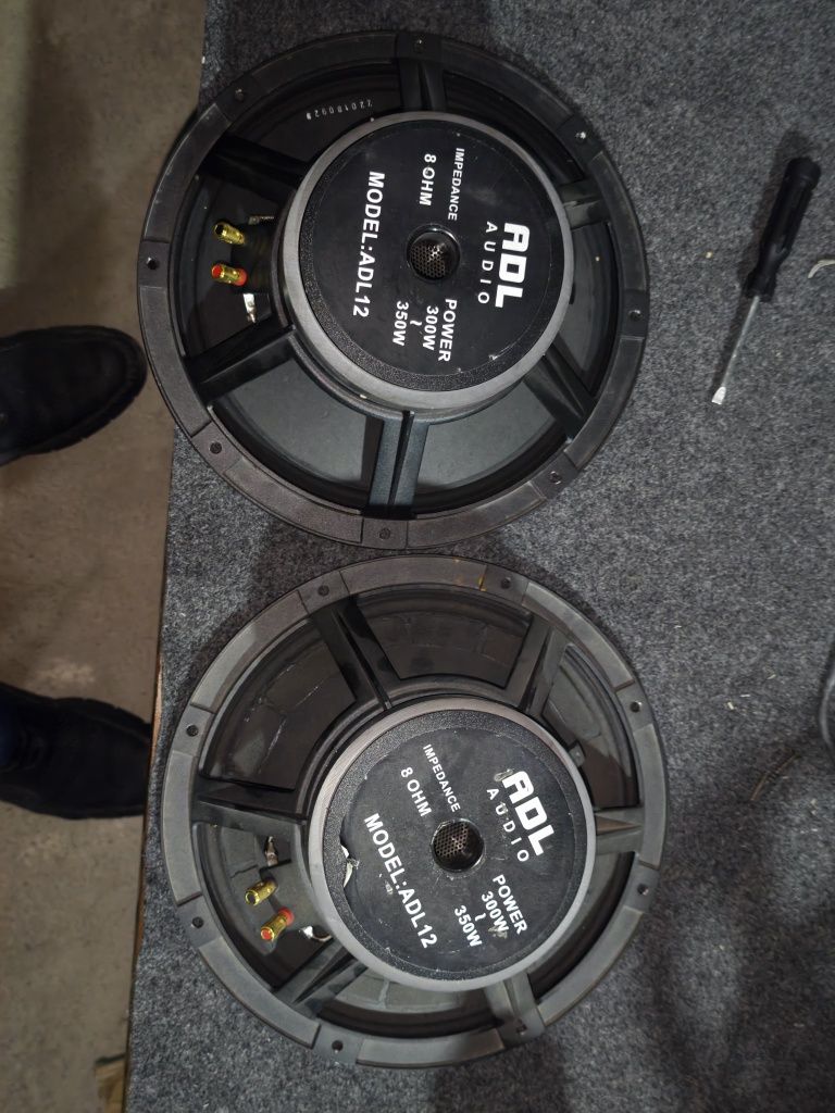 Adel 12 dyum  300w