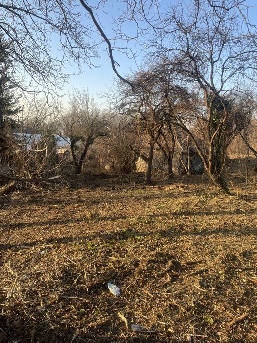 Defrisarii si curatare terenurii