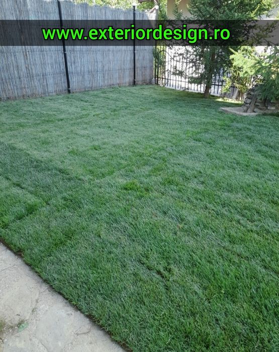 Gazon rulou Sport, Amnajam spații verzi gazon plante etc