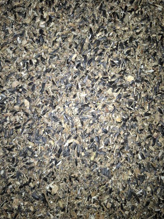 Слънчогледова отсевка дребна/едра