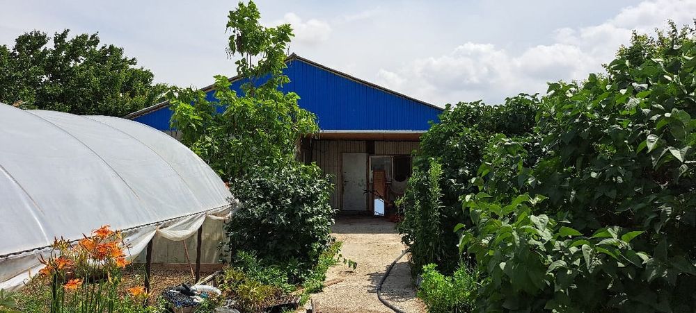 Продаётся дачный участок