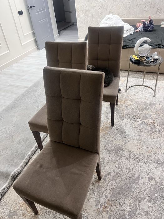 Стулья отыргыштар темір аяқпен