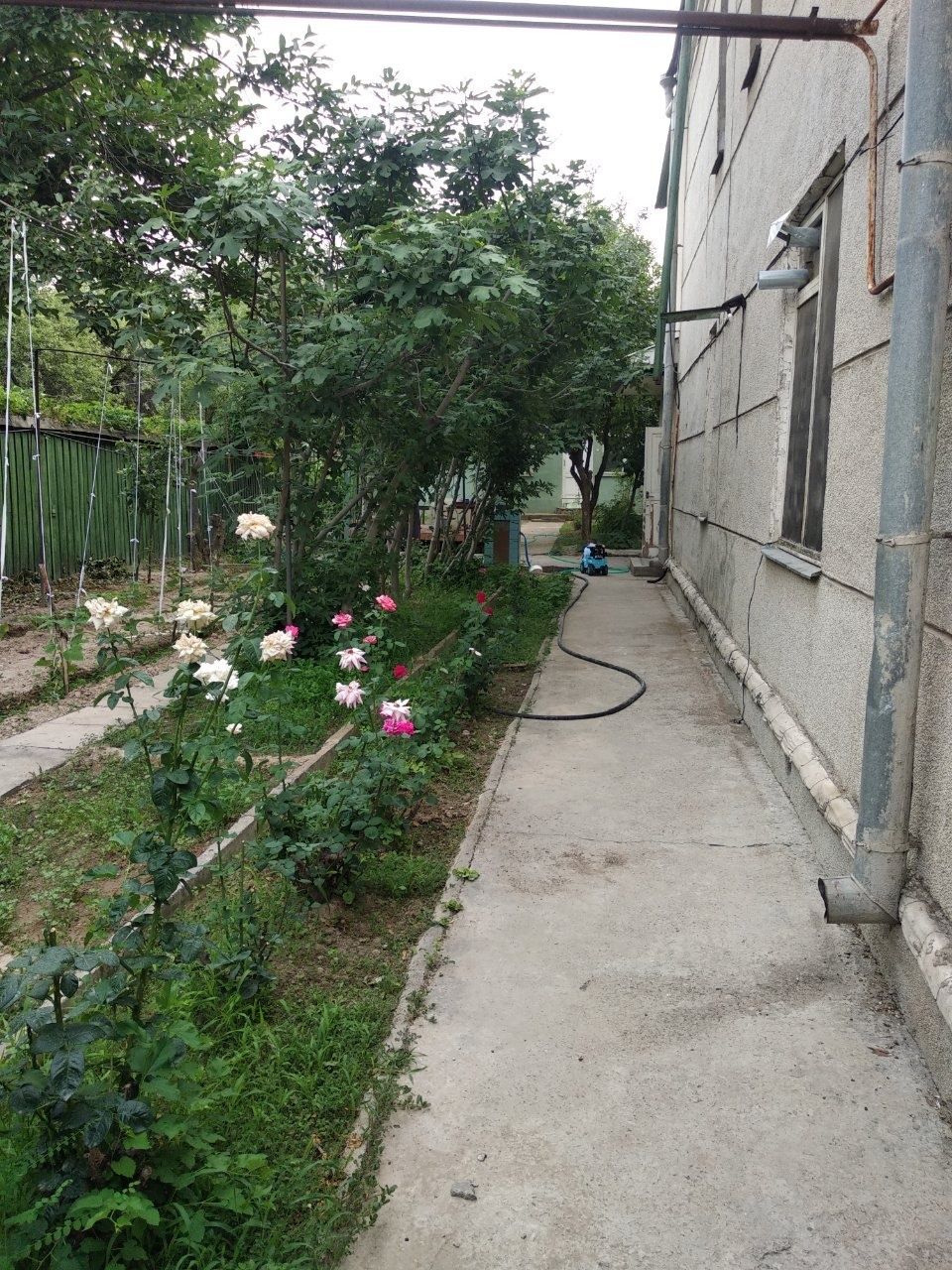 Дом из жженного кирпича.