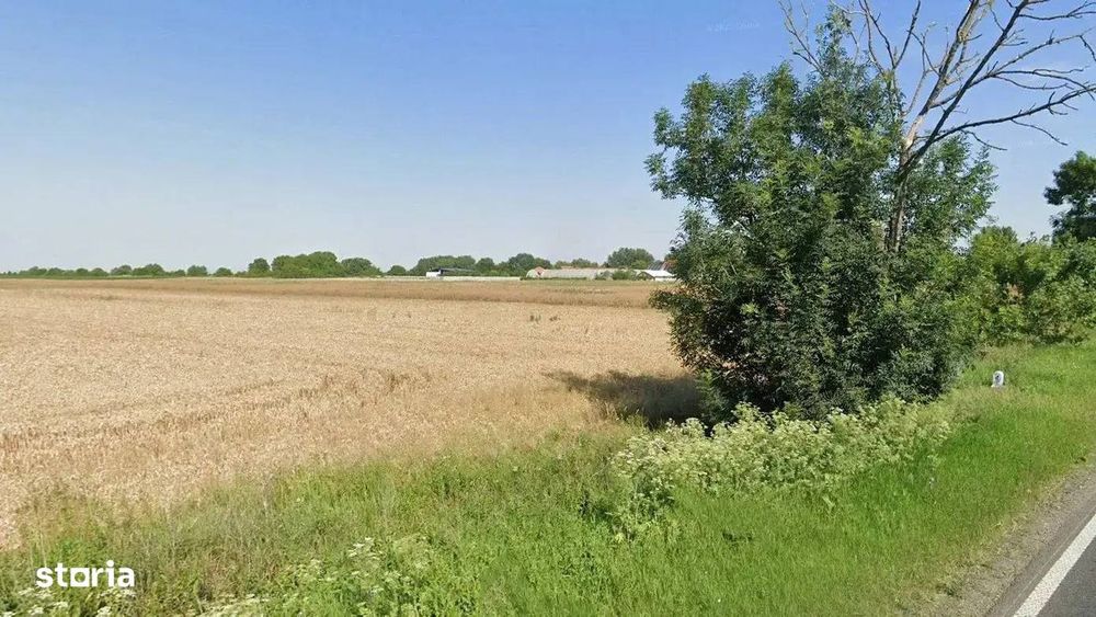 Teren intravilan 17.500 mp Sag, Timis