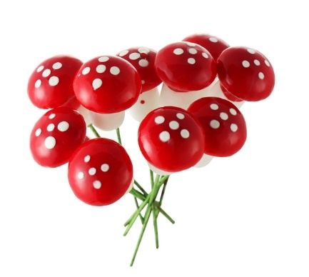 10 броя Гъбки декорация букет от гъби