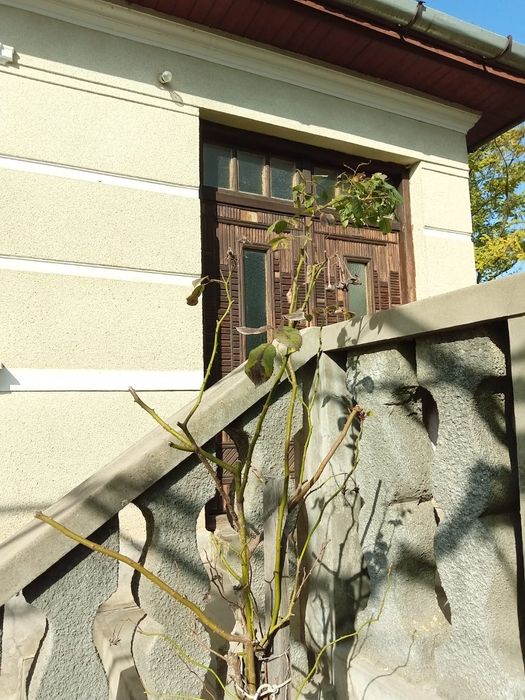 casa de vanzare, Luna, Campia Turzii
