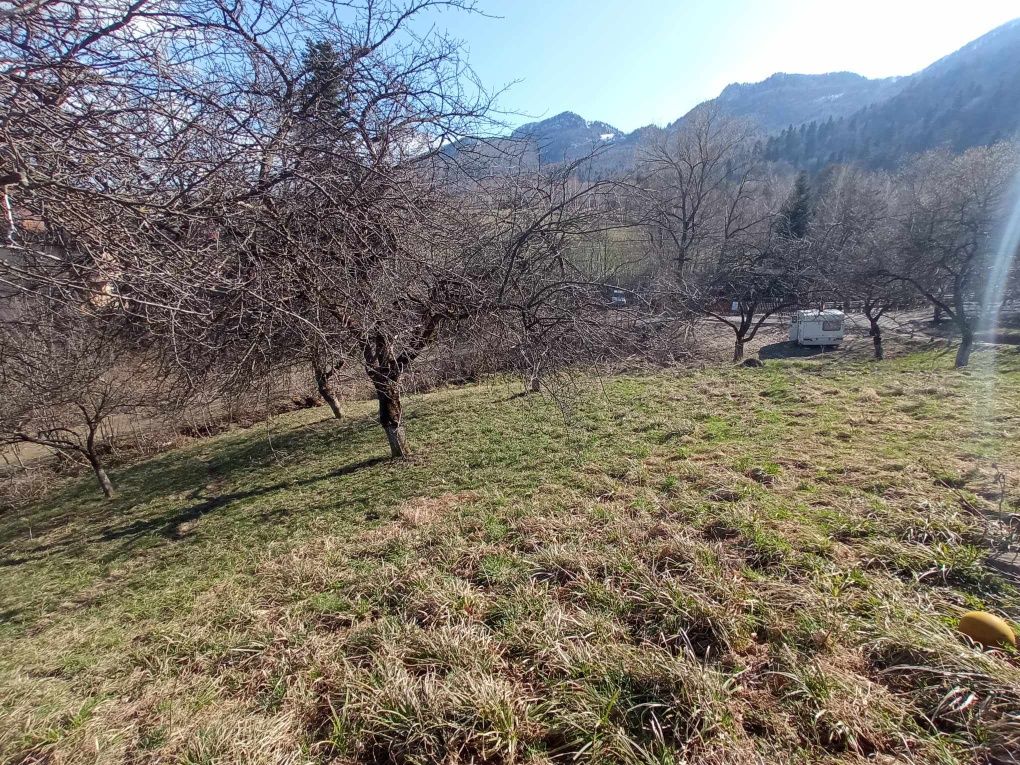 Teren intravilan cu tot cu avize și proiect A-frame