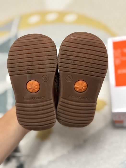 Adiasi Biomecanics nr 19