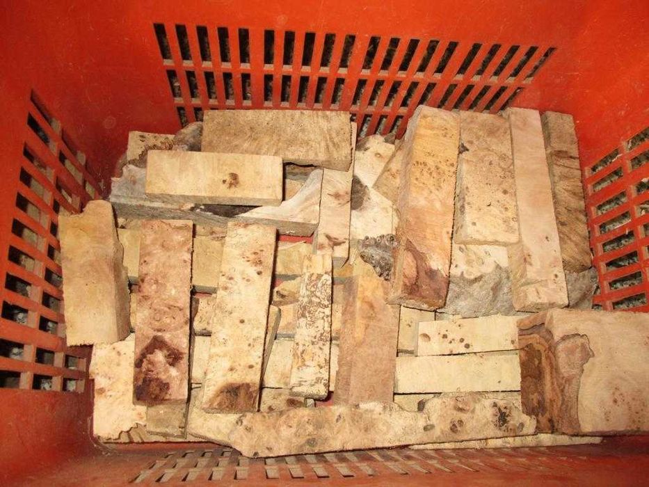 Подарявам трупчета от туморна топола