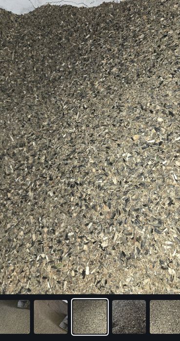 Семечные зерно отходы