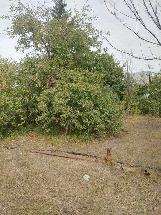 Продам дачу в Со Вишенка-2