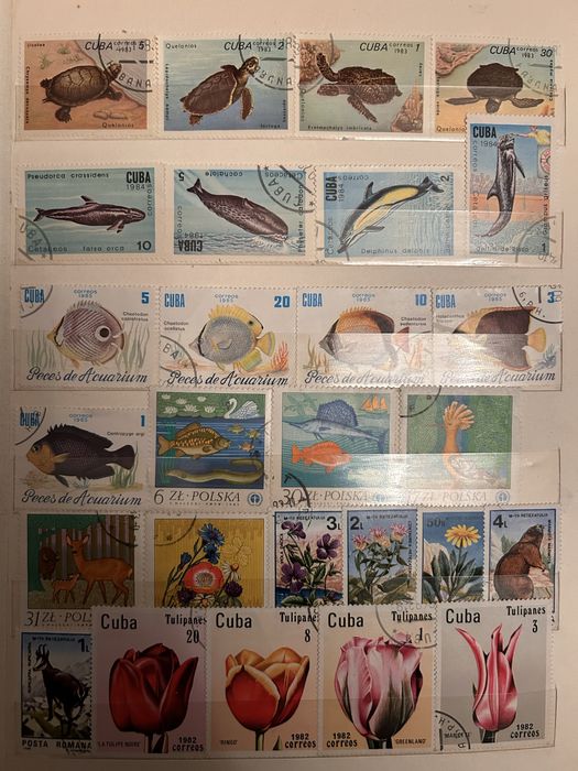 Vand timbre filatelice 2 clasoare vechi de 40 de ani