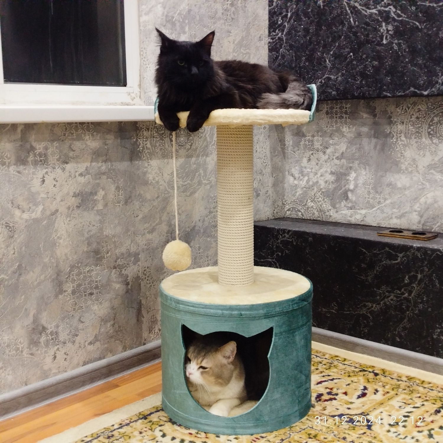 Домик для кошек...