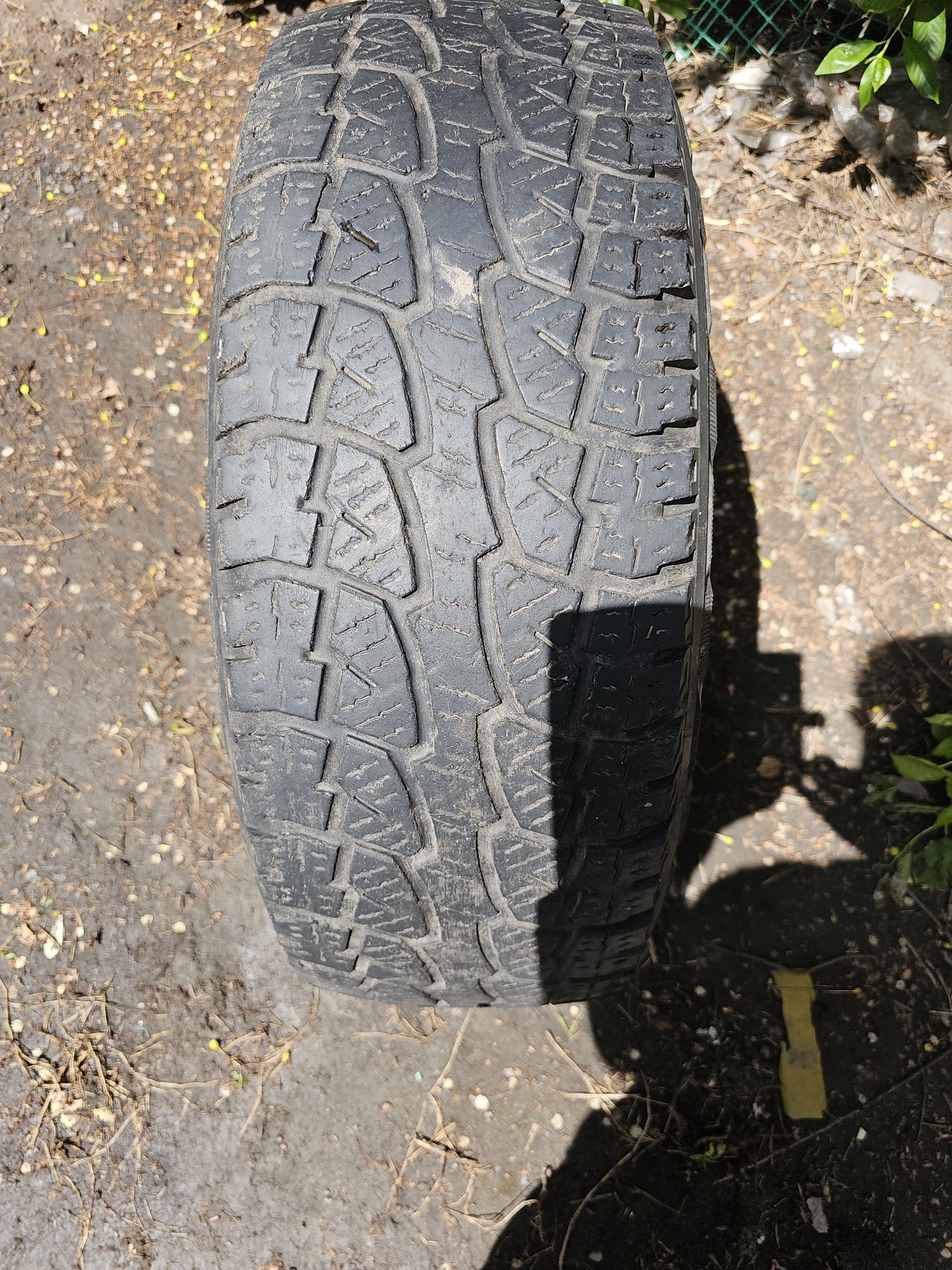 Балон 31 ×10.5 x15