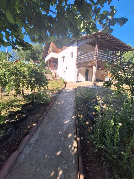 Casa de vanzare in DB, Visinesti, Urseiu