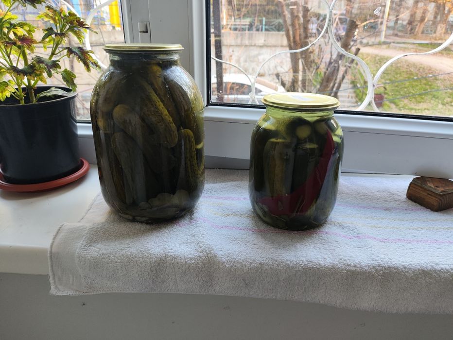 Продам домашние закрытые огурцы