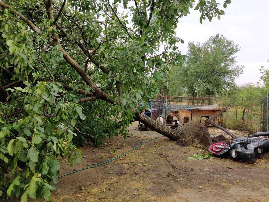 Honda CRB F2 600cmc 1992