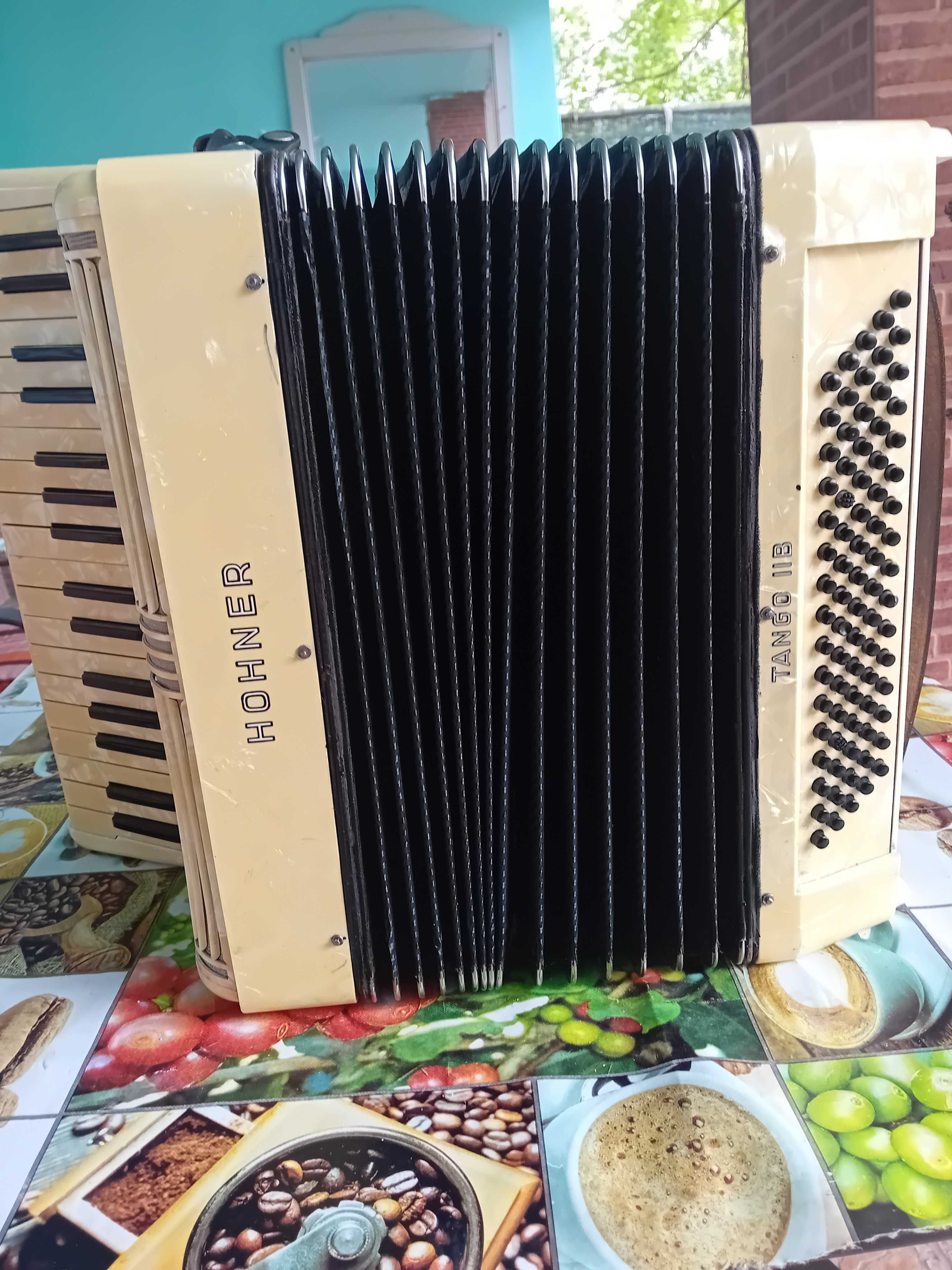 Hohner verdi 2 vergea 80 de baș