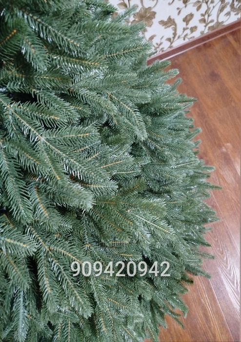 Новогодняя ёлка - Царская одна из самых нарядных и густых ёлок.