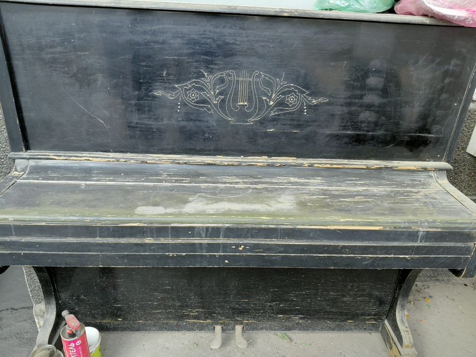 Пионина 2 шт советские