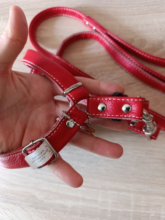 Ham și lesă ptr câini din  piele naturală