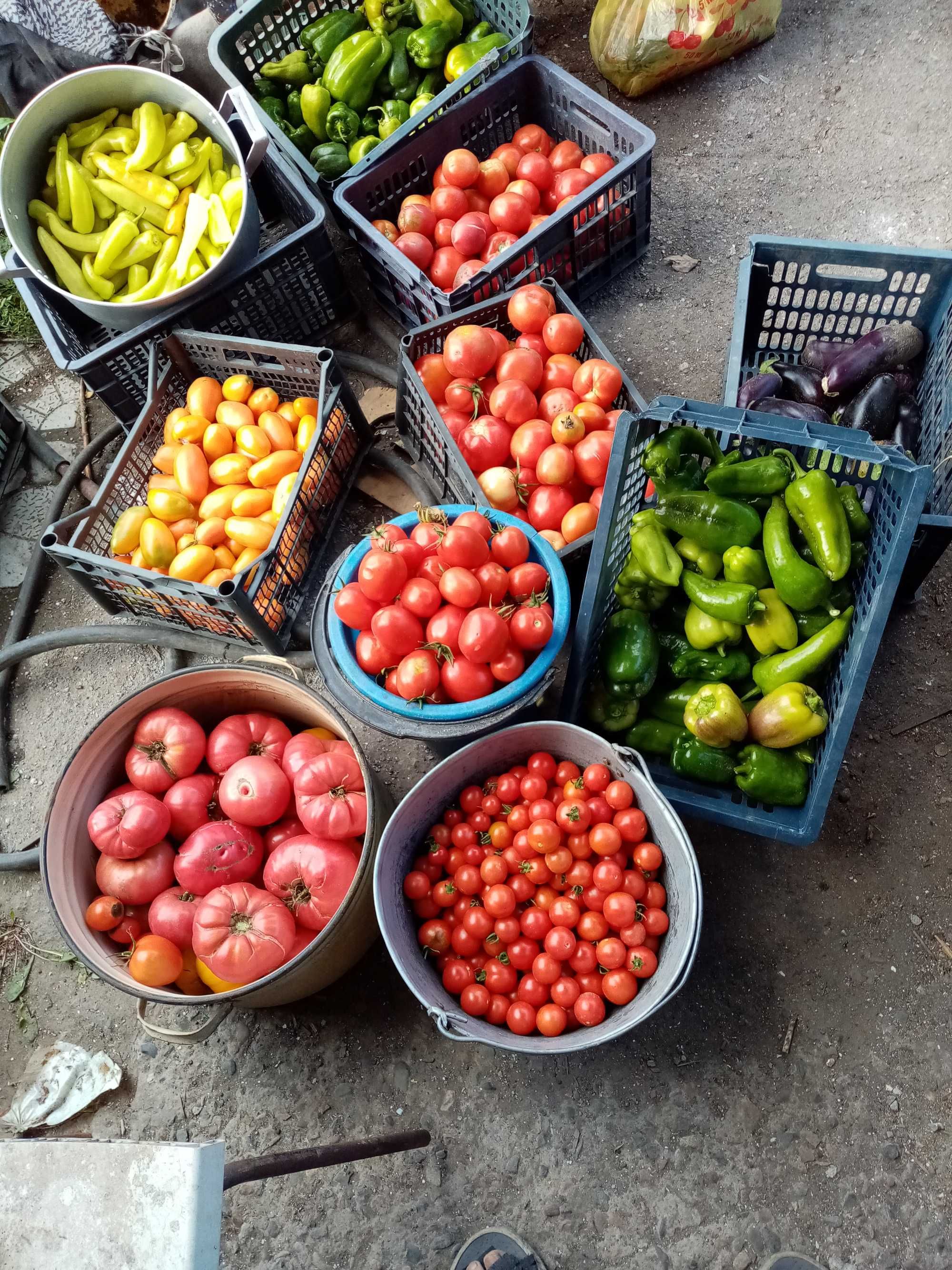 Продам дачу зимнею, с углём и дровами с баней.