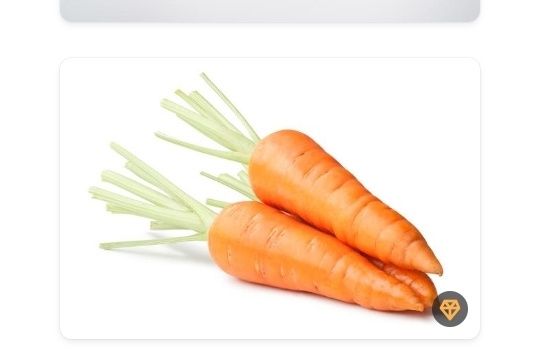 Морковь крупная домашняя