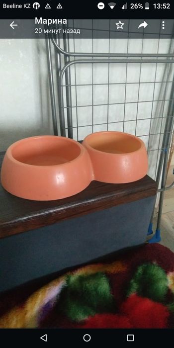 Продам миску для кошек.