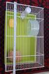 Cusca hamster full options 45x28x253 cm