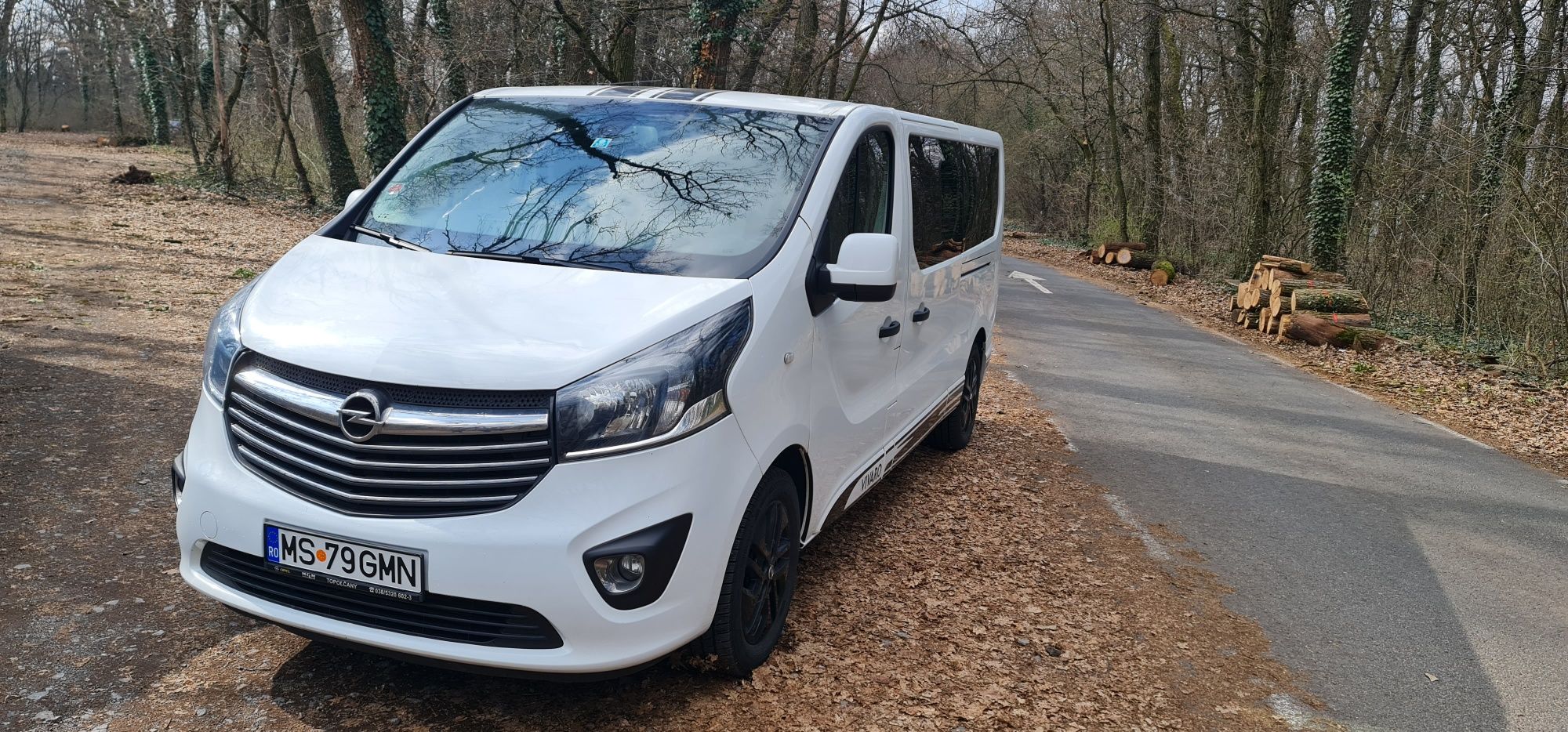 Inchiriez microbus 8+1