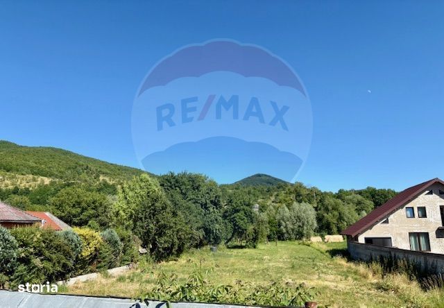 Teren 3,154mp Barsana / Intrarea principala