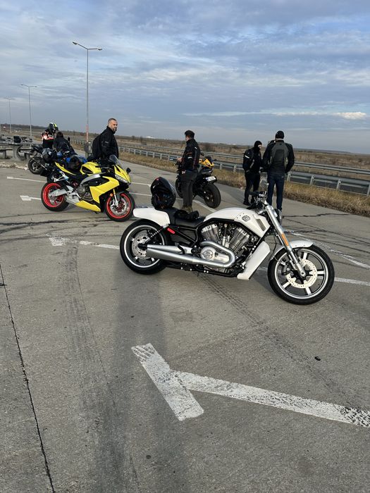 Harley Davidson VRod Muscle