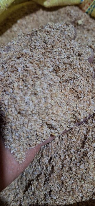 Ekalogik toza kunjara