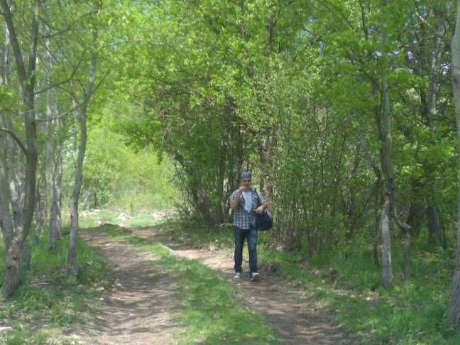 Teren proiecte turistice in Muntii Apuseni 7,8 ha  la sosea asfaltata