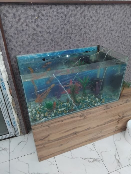 Аквариум бу с рыбками. Полный комплект.