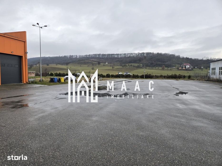 Hală cu Birouri și Teren 12.000 mp I De Vânzare I Bradu I Sibiu